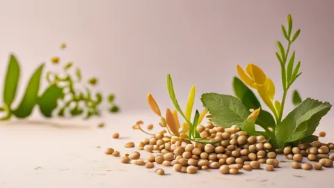 Berberine Guide: Start With 500mg to Avoid Side Effects