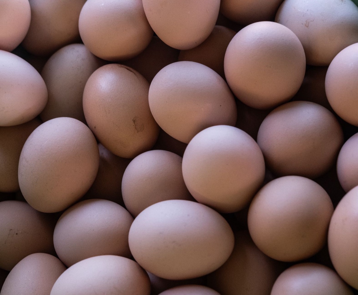 protein source variety