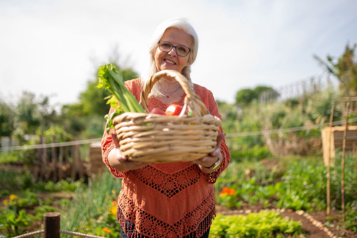 Un panier rempli de légumes frais et colorés de saison.