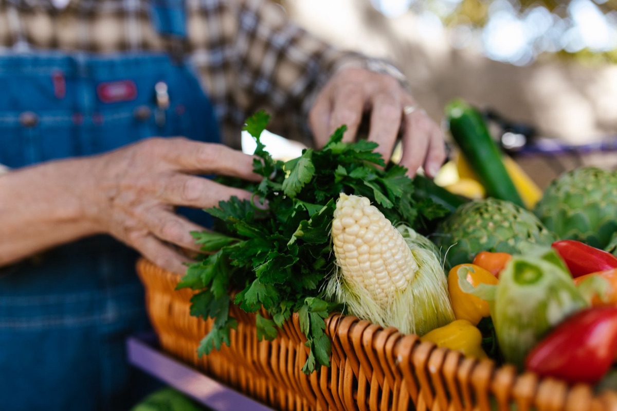 Cesto di verdure fresche appena raccolte