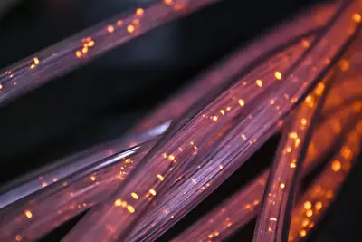 Fibra: guía mejores consejos para perder peso con 43